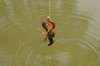 20070603_itakochoshitrip_012